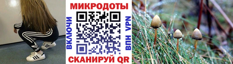 Галлюциногенные грибы GOLDEN TEACHER  Купить  Кириллов 